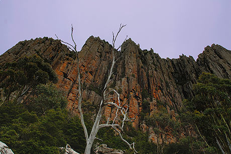 Tasmania