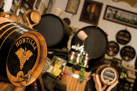 Ruta del Vino Montilla-Moriles