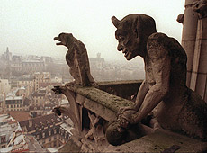 Notre Dame. Paris