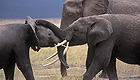 Kenia. Fotos de Juan Echeverr�a