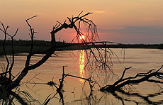 Atardecer en el r�o Chobe, Botswana.