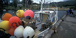 Port Arthur, Tasmania