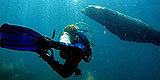Ocholeguas de viaje submarino.
