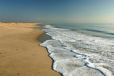 Parque de Doñana