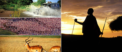 Top Ocho Kenya