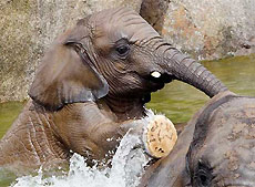 Bioparc.