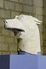 Lobo �bero de El Pajarillo.