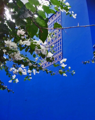 Azul majorelle.